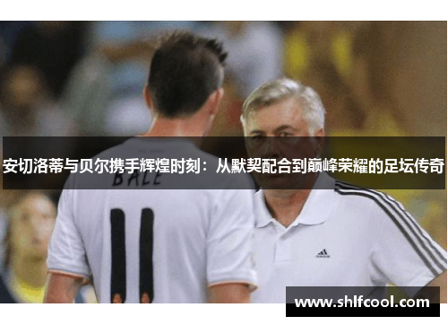 安切洛蒂与贝尔携手辉煌时刻：从默契配合到巅峰荣耀的足坛传奇