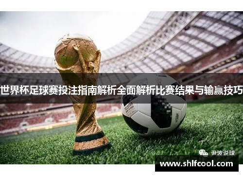 世界杯足球赛投注指南解析全面解析比赛结果与输赢技巧
