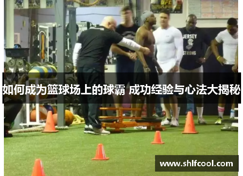 如何成为篮球场上的球霸 成功经验与心法大揭秘