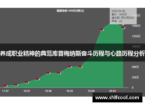 养成职业精神的典范库普梅纳斯奋斗历程与心路历程分析