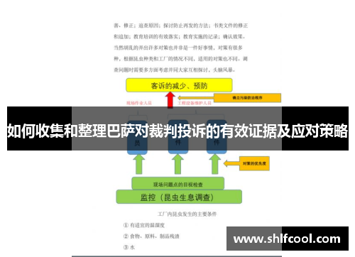 如何收集和整理巴萨对裁判投诉的有效证据及应对策略