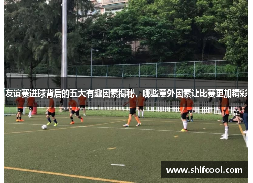 友谊赛进球背后的五大有趣因素揭秘,哪些意外因素让比赛更加精彩 友谊赛进球背后的五大有趣因素揭秘,哪些意外因素让比赛更加精彩